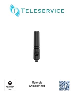 Teleservice-Motorola-AN000351A01.jpg