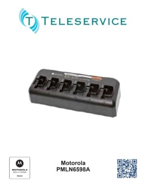 Teleservice-Motorola-PMLN6598A.jpg